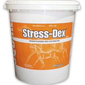 Stress Dex-Squire 20LB