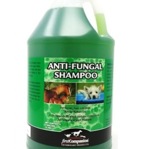 Shampoo-Cb Anti-Fungal Gallon