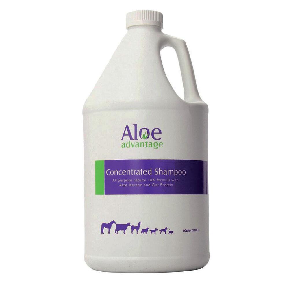 Shampoo- Aloe Advantage Gallon