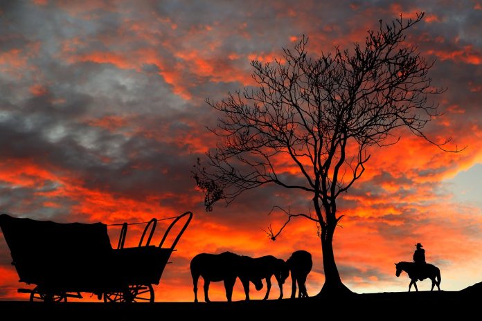 The Relationship between cars and horses in American culture The Relationship between cars and horses in American culture